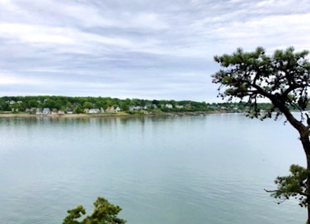 On Raising the Funds to Purchase the Two LDI Lots Oceanside