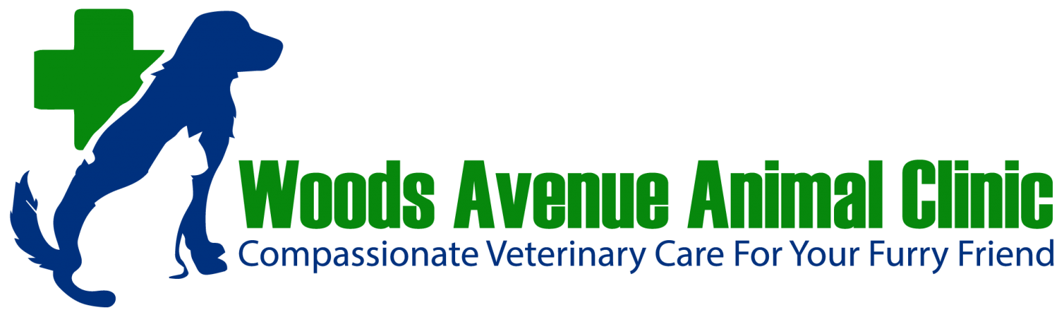 Oceanside Vet Quality Animal Care Woods Avenue Animal Clinic