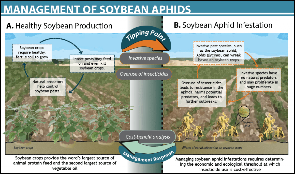 Soybean Aphid Management, USA Ocean Tipping Points