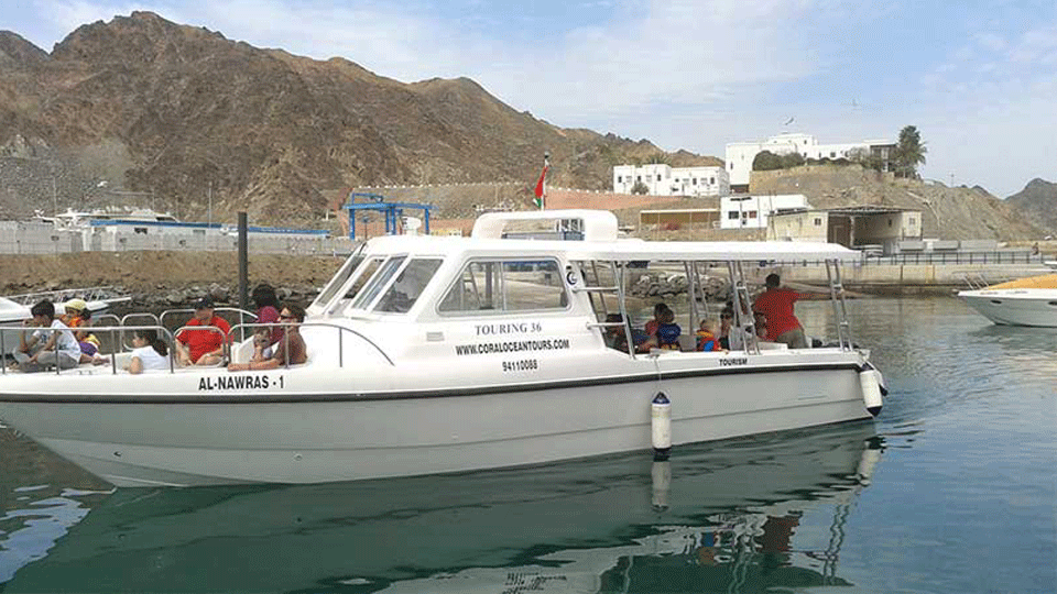 Dolphin Watching Trip OmanHoliday Dolphin TourDolphin Watching Muscat