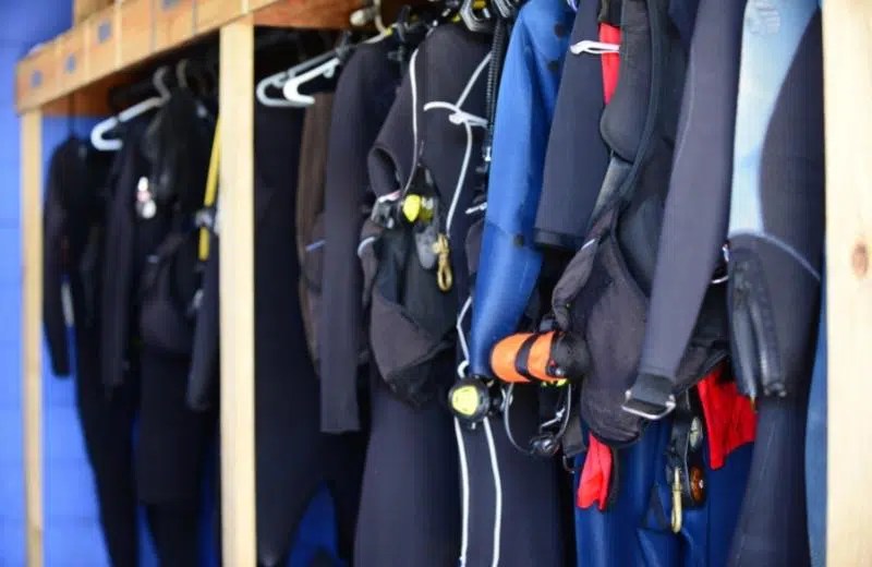 Scuba Diving 101 Explore the Underwater World!