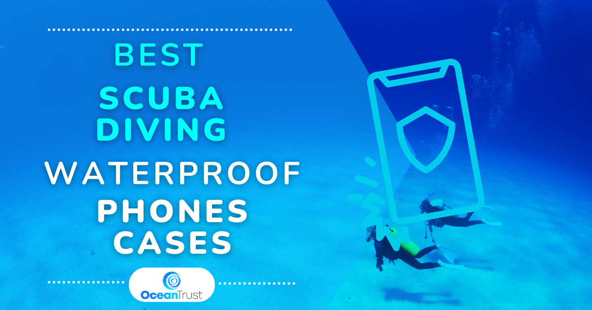 Best Scuba Diving Waterproof Phone Cases 2024 Ocean Trust