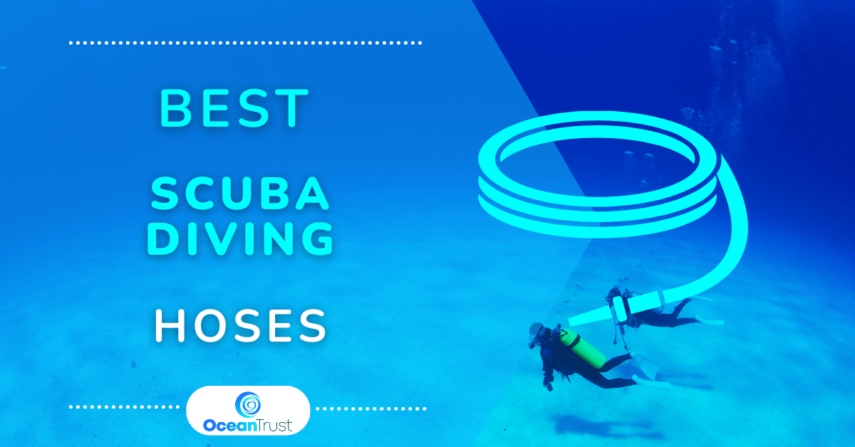 Best Scuba Diving Hoses 2024 Ocean Trust