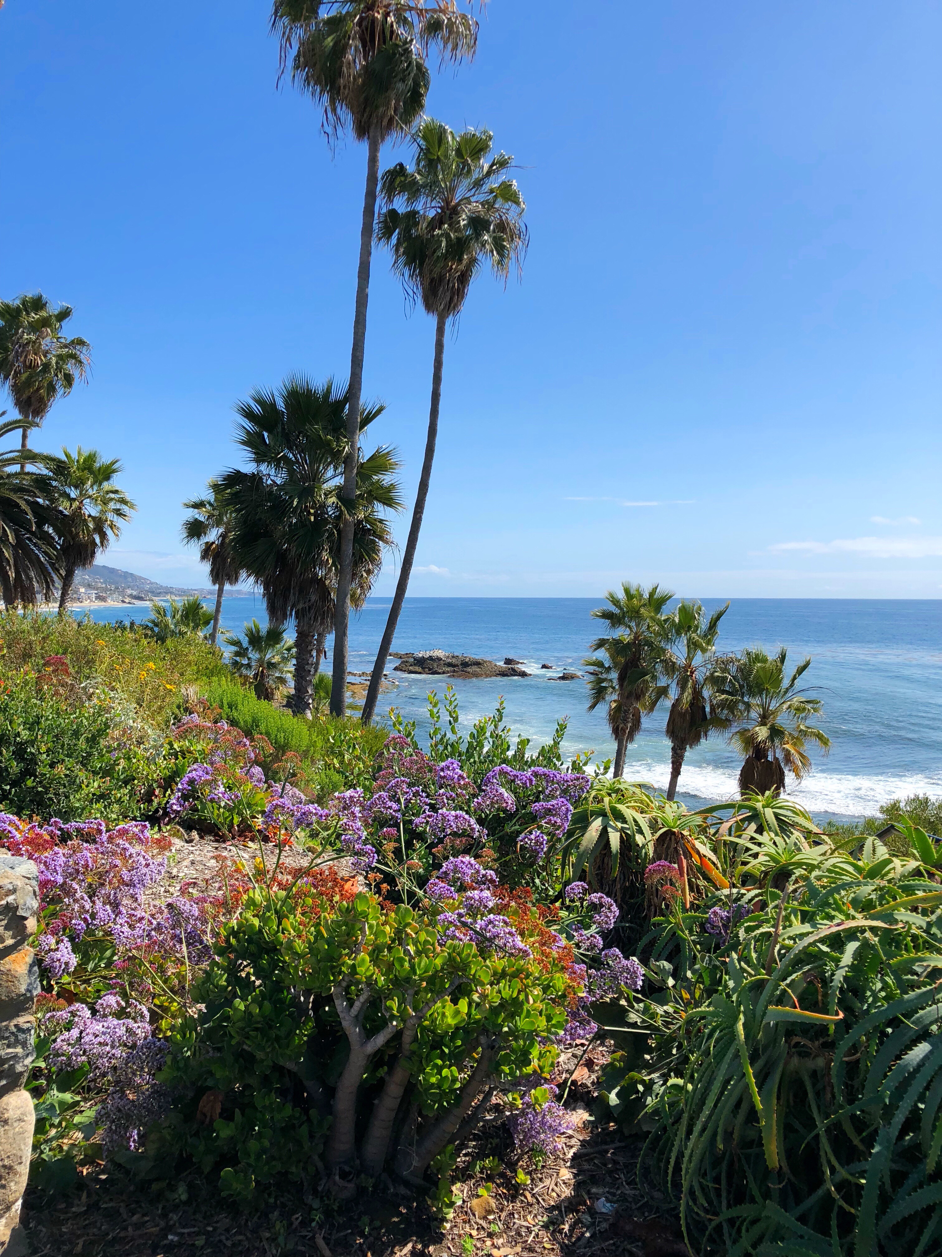 Things To Do in Orange County this Weekend, March 1618 Things to do