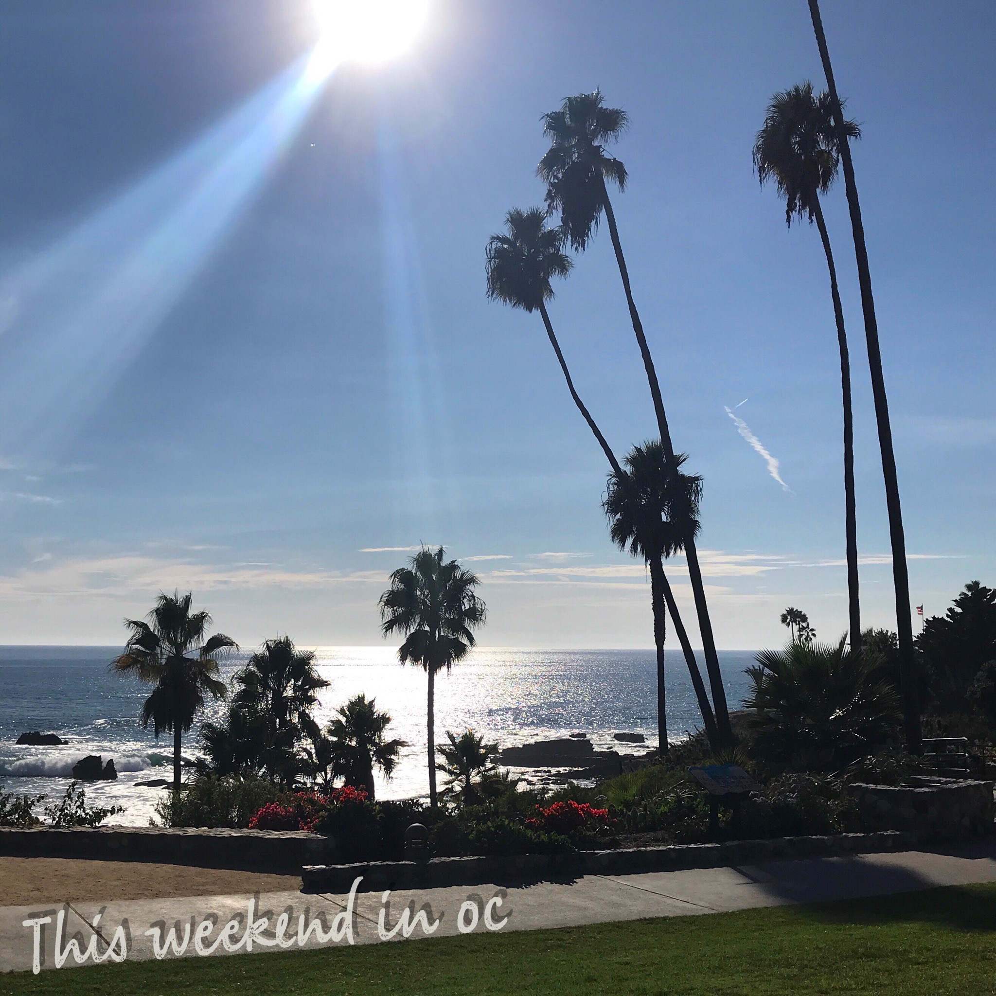 20 Fun Things To Do in Orange County this Weekend Things to do in