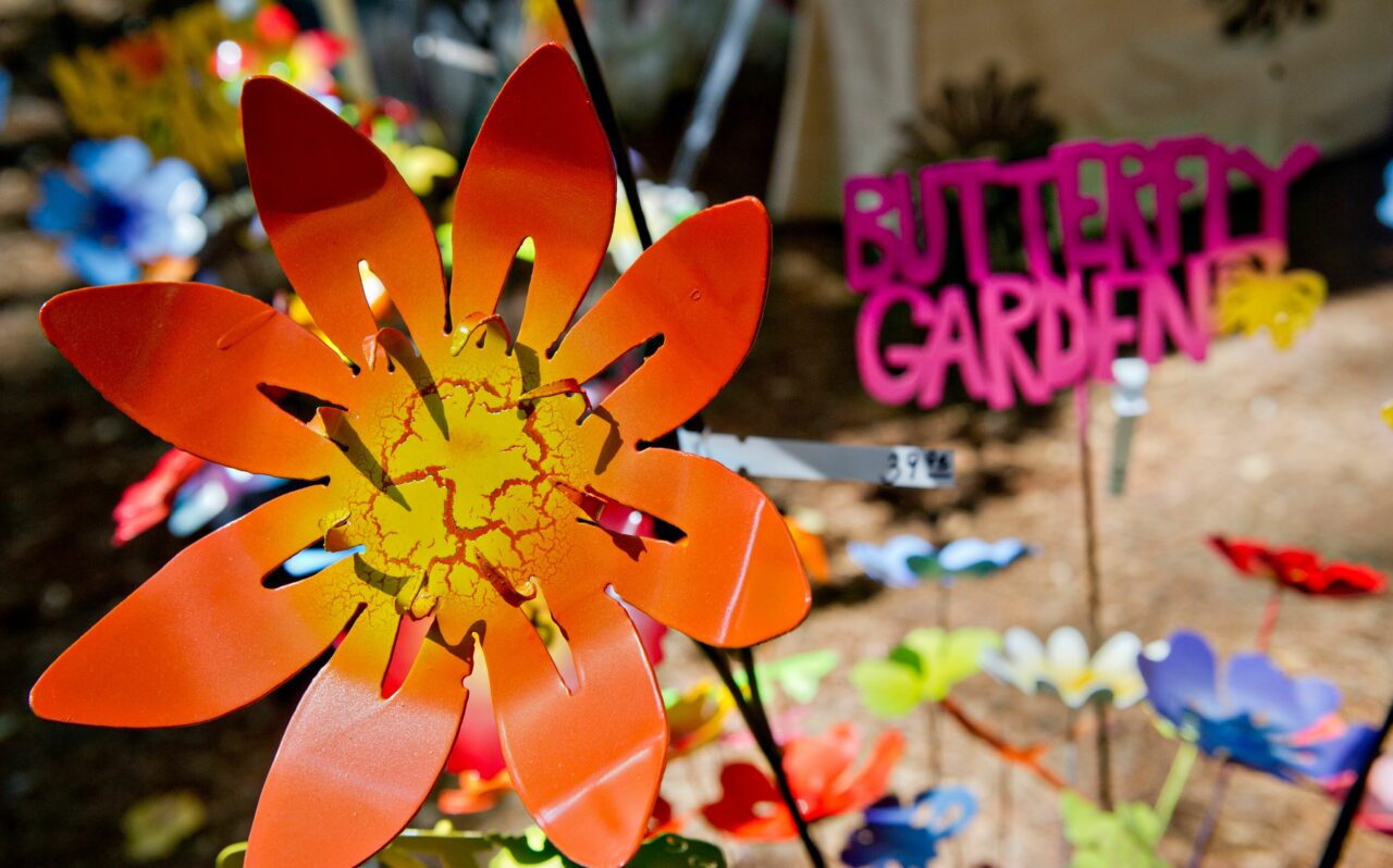 Stone Mountain Yellow Daisy Festival 2023 Stone Mountain Park Announces Return Of 53Rd Annual Yellow Daisy Festival - On Common Ground News - 24/7 Local News