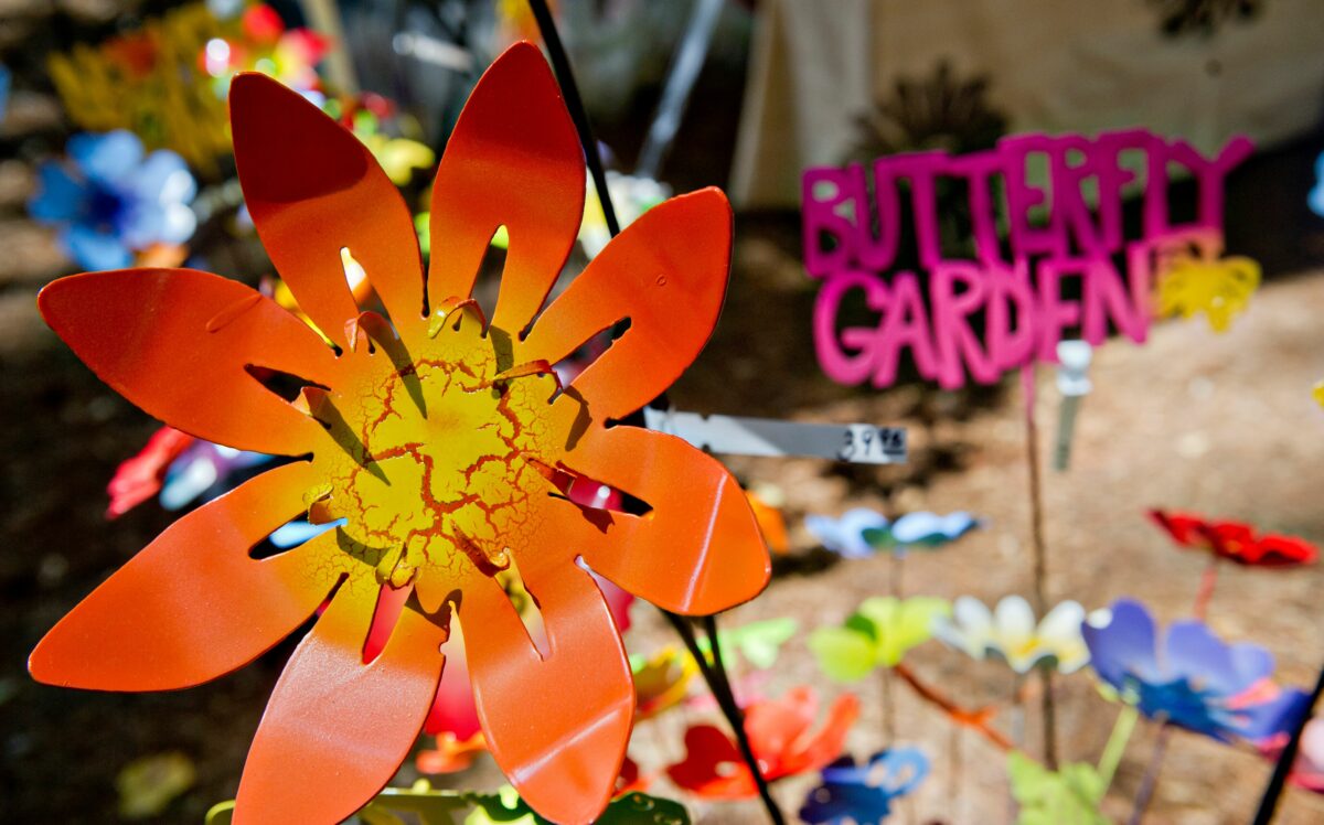 Stone Mountain Park announces return of 53rd annual Yellow Daisy