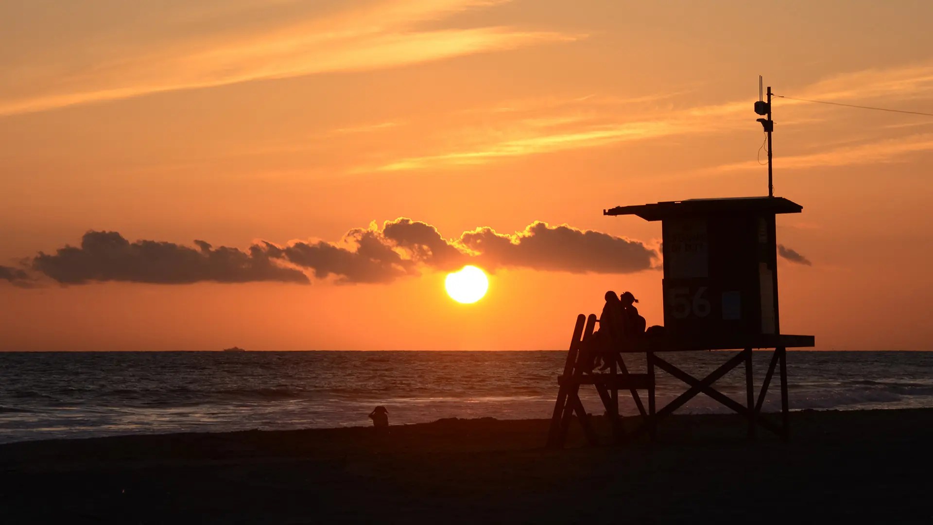 Newport Beach Property Management, Newport Beach Property Managers