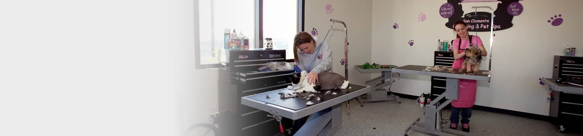 About OC Grooming & Pet Spa