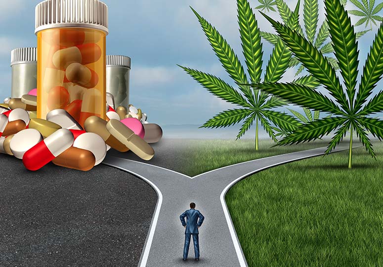 Hi Tide Medical Cannabis Dispensary, Ocean City, MD Hi Tide Dispensary