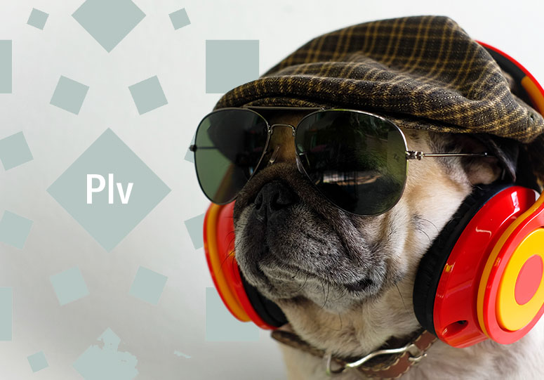 Hi Tide Medical Cannabis Dispensary, Ocean City, MD Hi Tide Dispensary