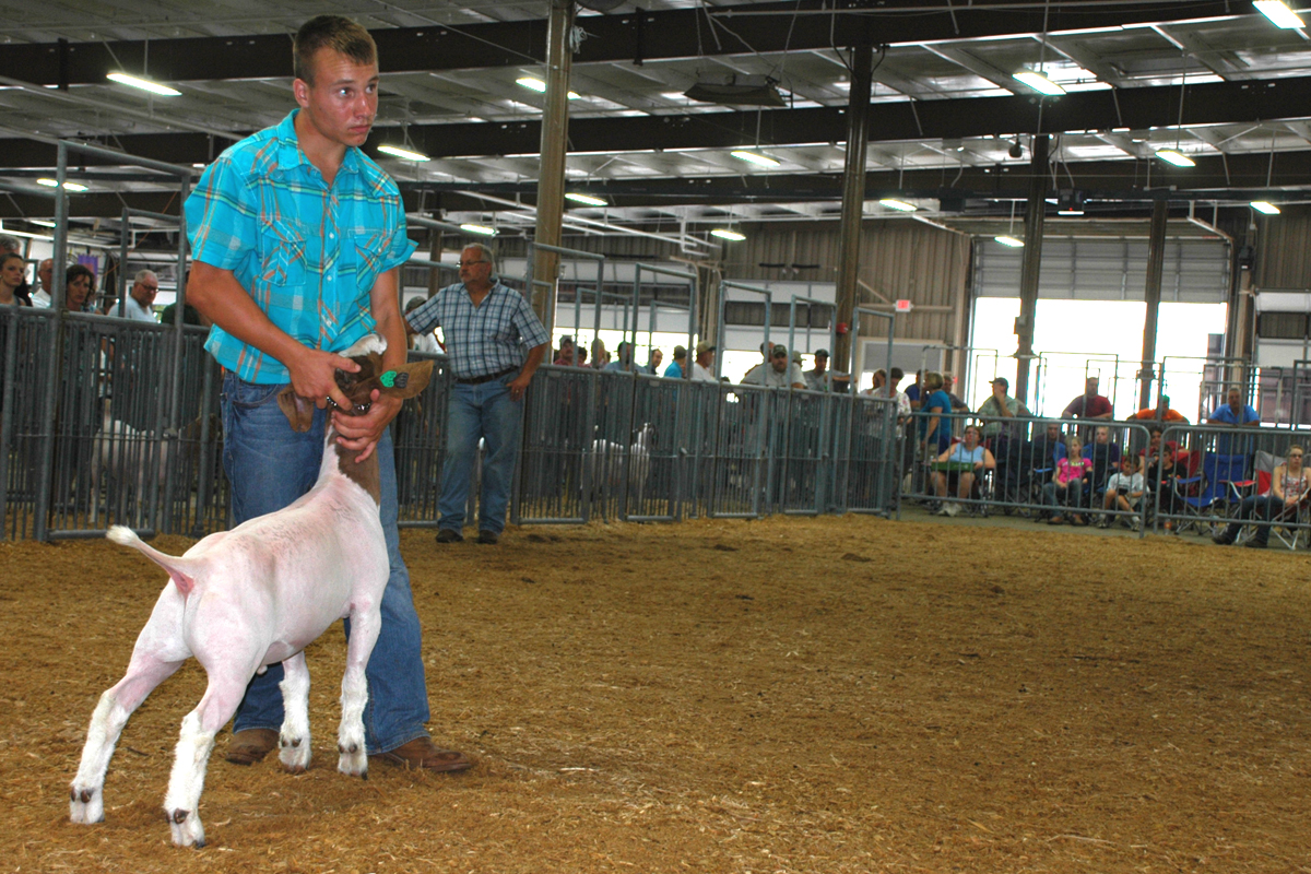 Jr. Fair Goat Show Results Ohio Ag Net Ohio's Country Journal