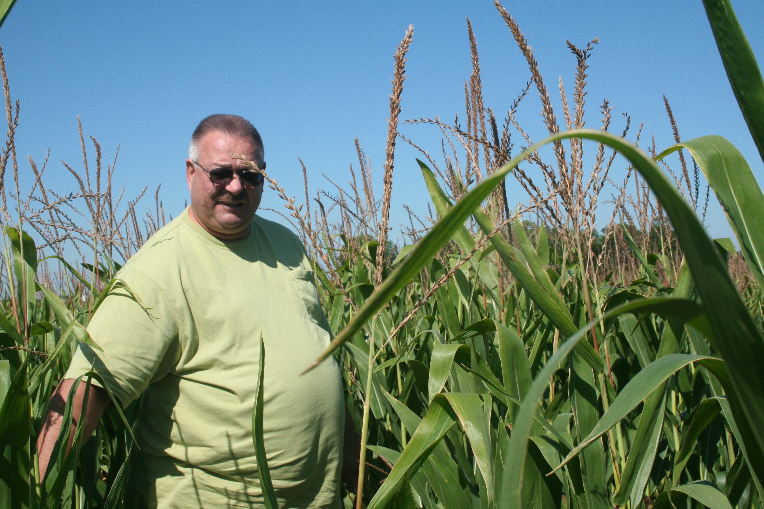 Pro Farmer Midwest Crop Tour Day 1 Results Ohio Ag Net Ohio's