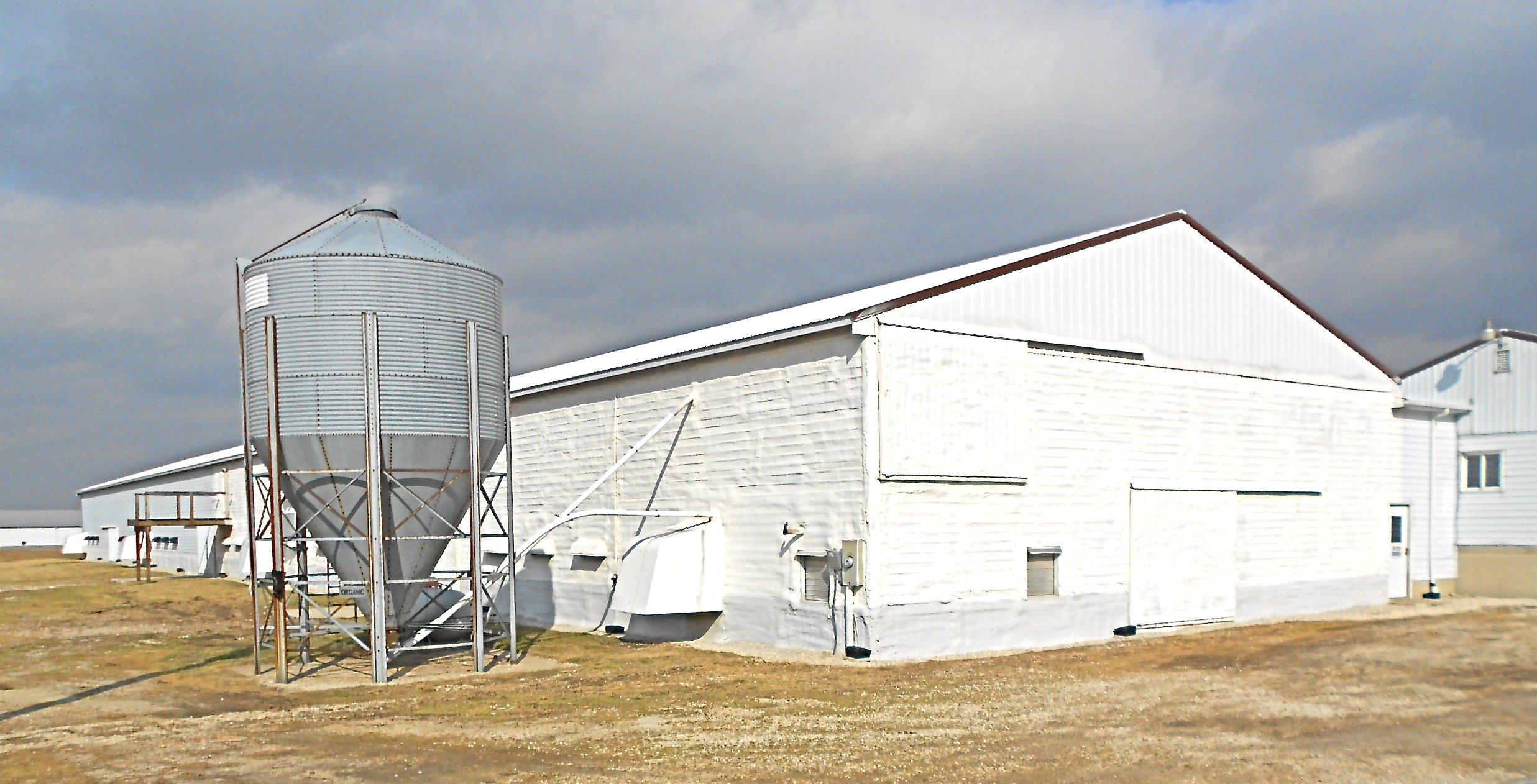 Fortkamp’s pullet starter house saves heating cost with AgriThane SPF