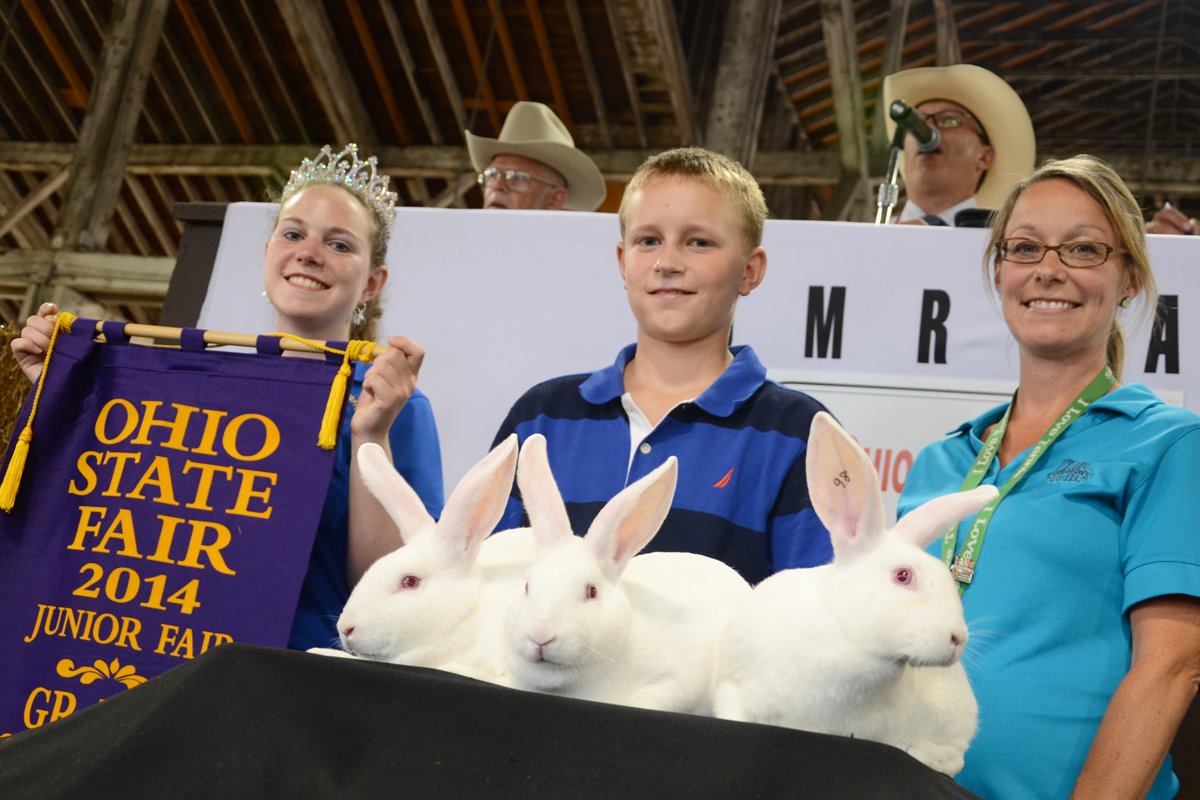 2014 Ohio State Fair Rabbit Sale results Ohio Ag Net Ohio's Country