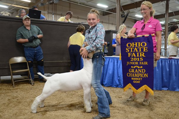 2023 Ky State Fair Goat Show Results 2015 Junior Goat Show Results – Ohio Ag Net | Ohio's Country Journal