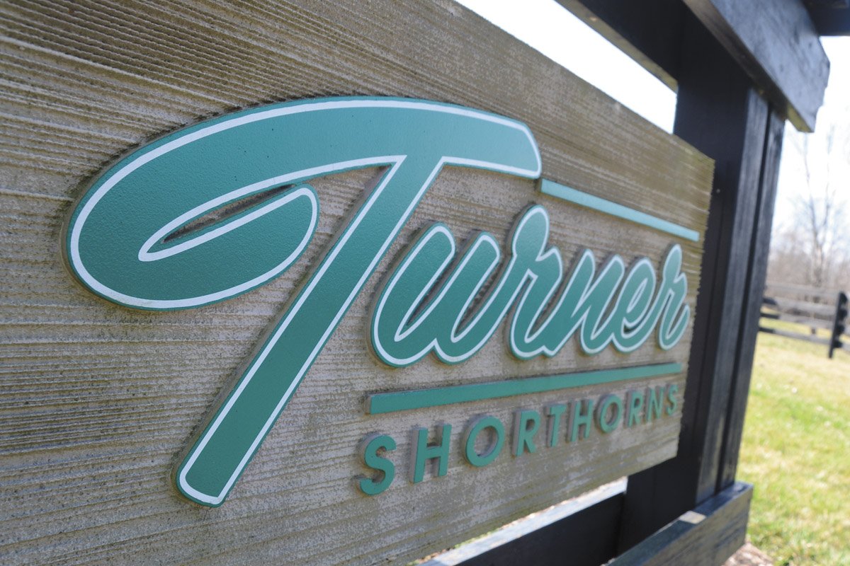 Turner Shorthorns transforming land and cattle Ohio Ag Net Ohio's