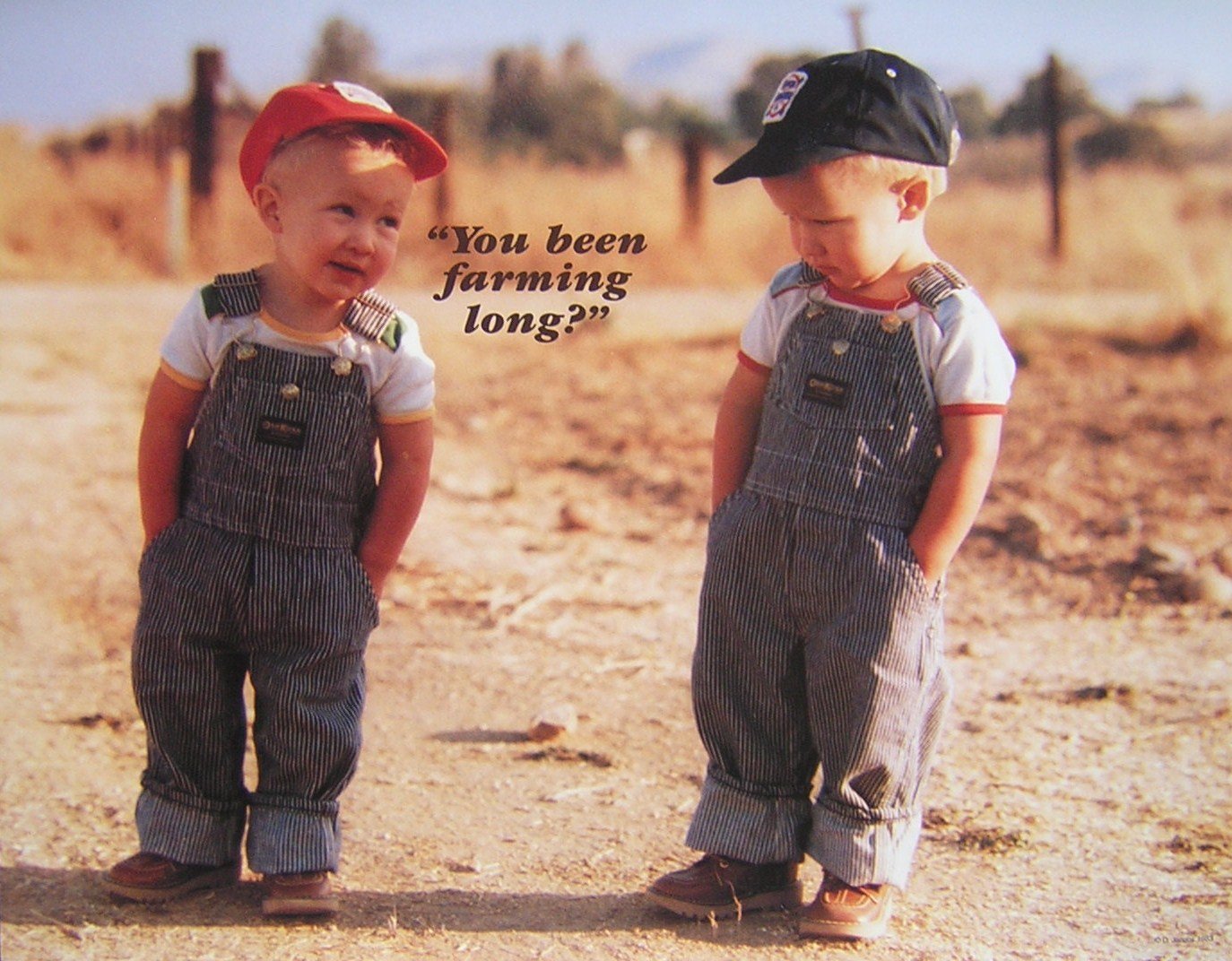 Where are the “You Been Farming Long” boys now? Ohio Ag
