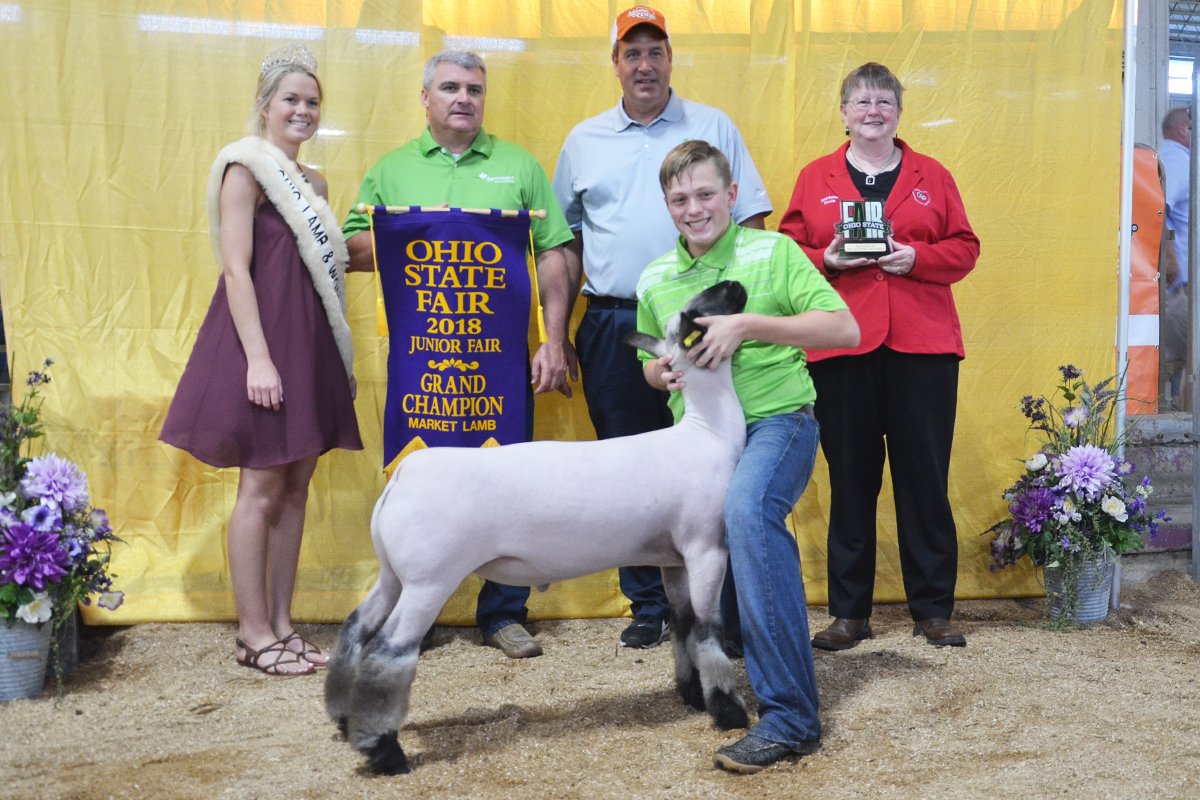 Ohio State Fair Sheep Show 2023 2018 Ohio State Fair Junior Market Lamb Results – Ohio Ag Net | Ohio's Country Journal