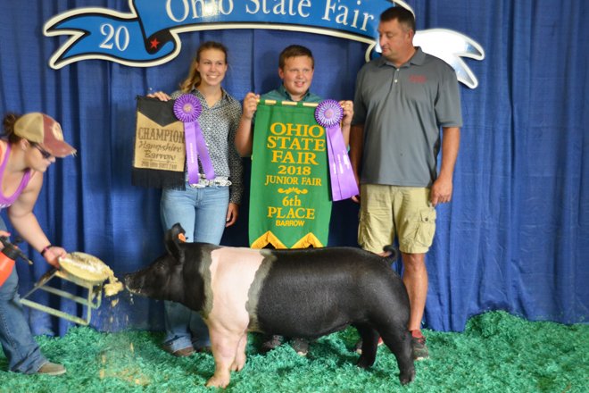 State Fair 2023 Gilt Show 2018 Ohio State Fair Junior Market Barrow Sale – Ohio Ag Net | Ohio's Country Journal