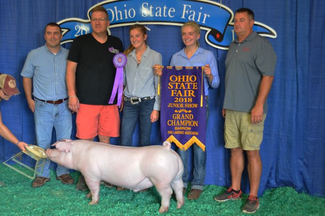 State Fair 2023 Gilt Show 2018 Ohio State Fair Junior Market Barrow Sale – Ohio Ag Net | Ohio's Country Journal