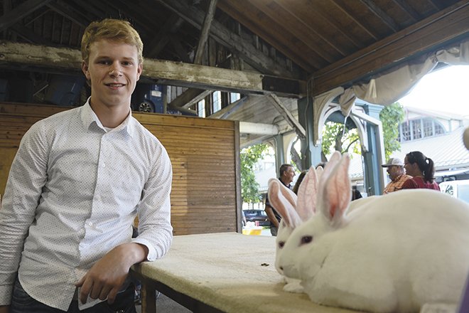 Ohio Rabbit Show 2023 Junior Market Rabbit Show Results – Ohio Ag Net | Ohio's Country Journal