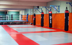 Oc Kick Fighting Accueil