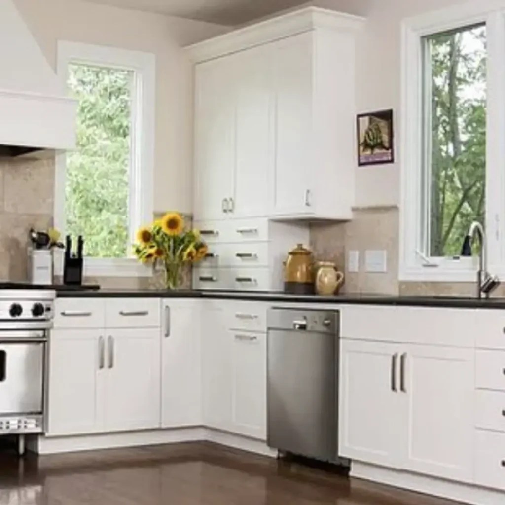 Modern Kitchen l Custom Orange County, CA