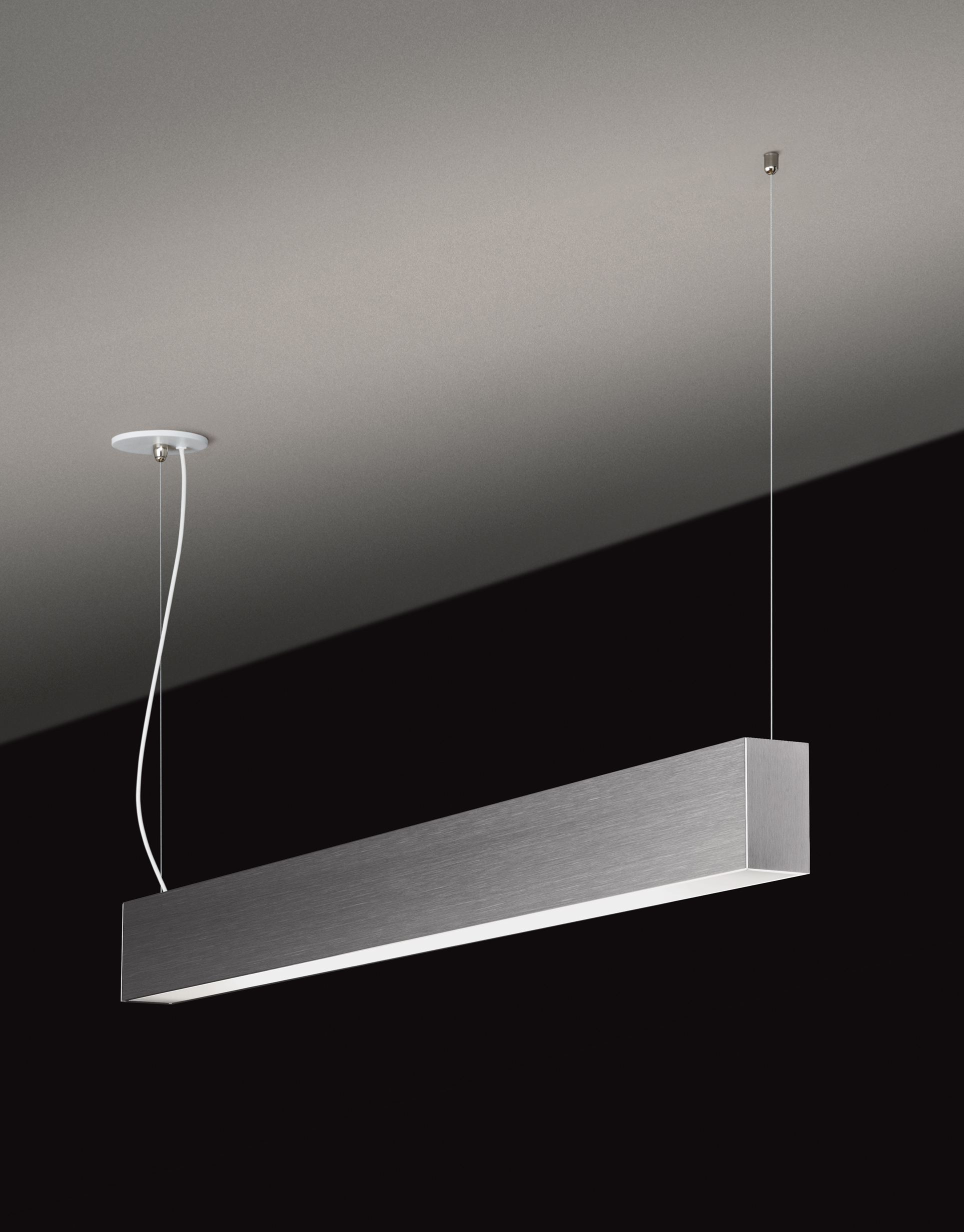 Duo™ Pendant OCL Architectural Lighting