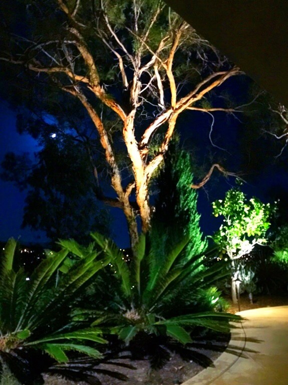 San Clemente Home Gets Outdoor Landscape Lighting Installation OcLights