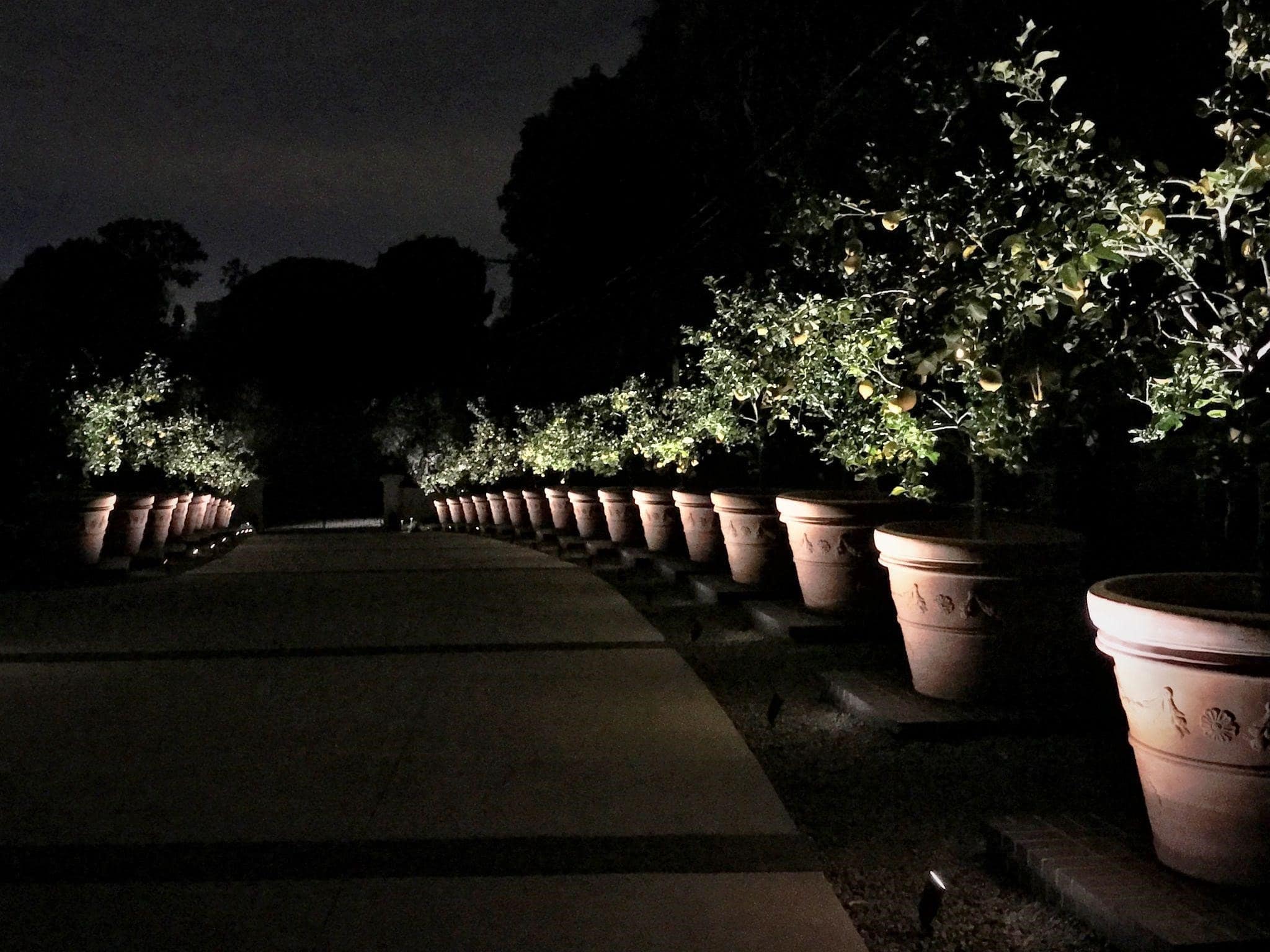 Dramatic Shadows Using Best Landscape Lighting for Stunning Nighttime