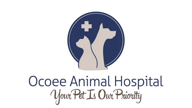 Veterinarian in Ocoee, FL Ocoee Animal Hospital
