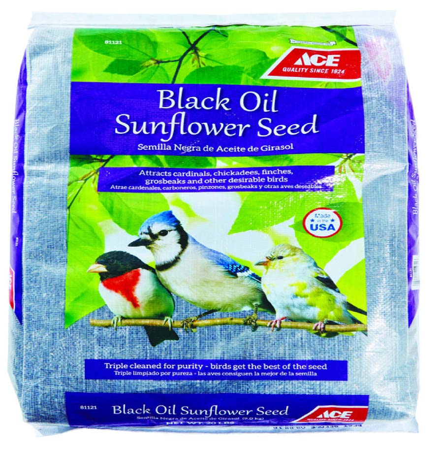 O'Connor Hardware Store and Rental Billerica Center, Boston MA