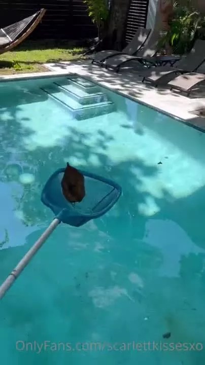 ScarlettKissesXO Fucking The Pool Cleaner. ScarlettKissesXO lewd videos and photos leaked from