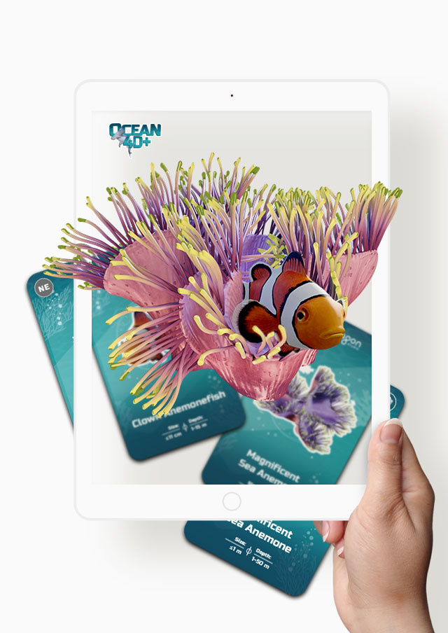 4D+ Products - Octagon Studio Products u0026 Services