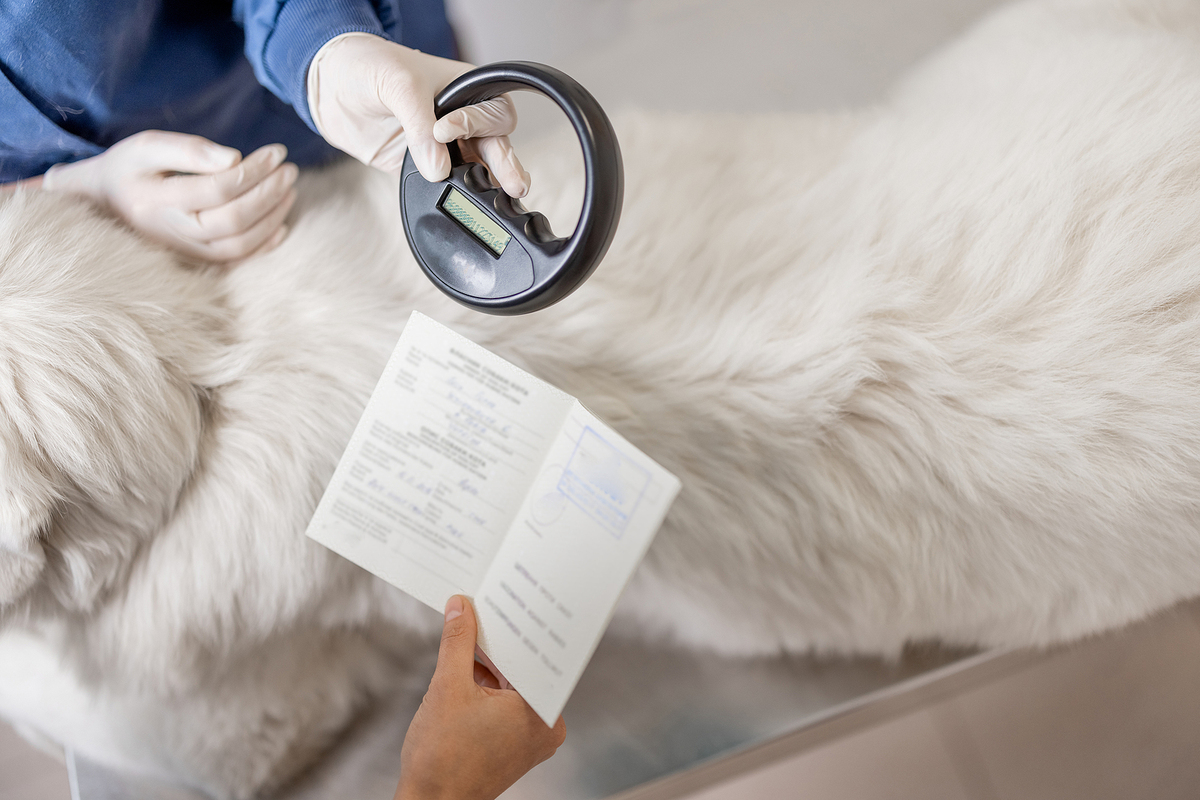 How to Manage Pet's Microchip Information Forever Vets