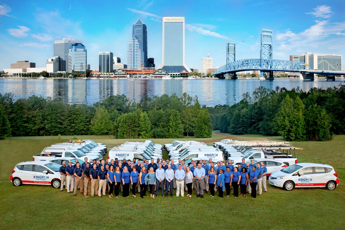 Pest Control Professionals Kingfish Pest Control