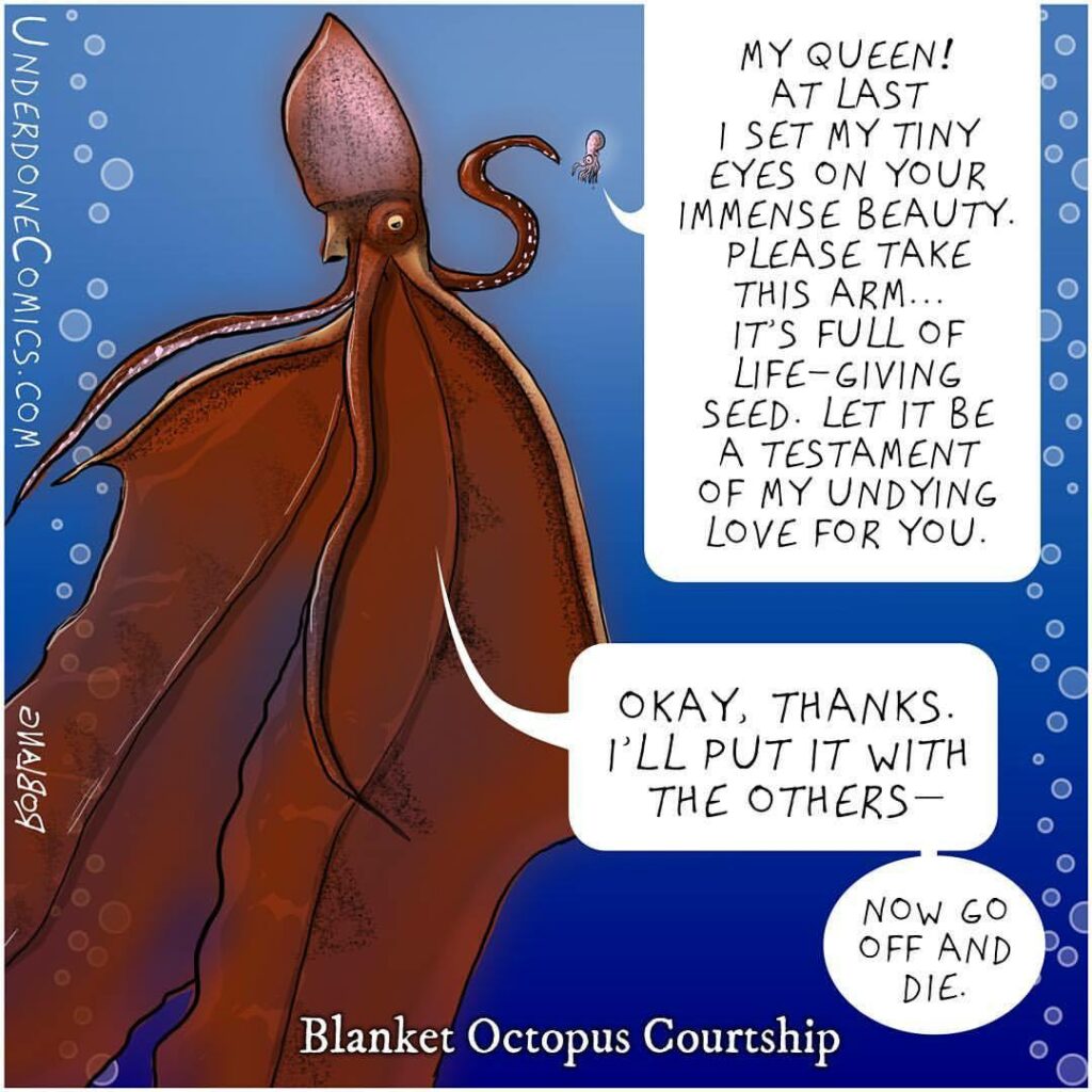 “Sperm Worms” How Male Argonauts Taught Scientists About Octopus Sex