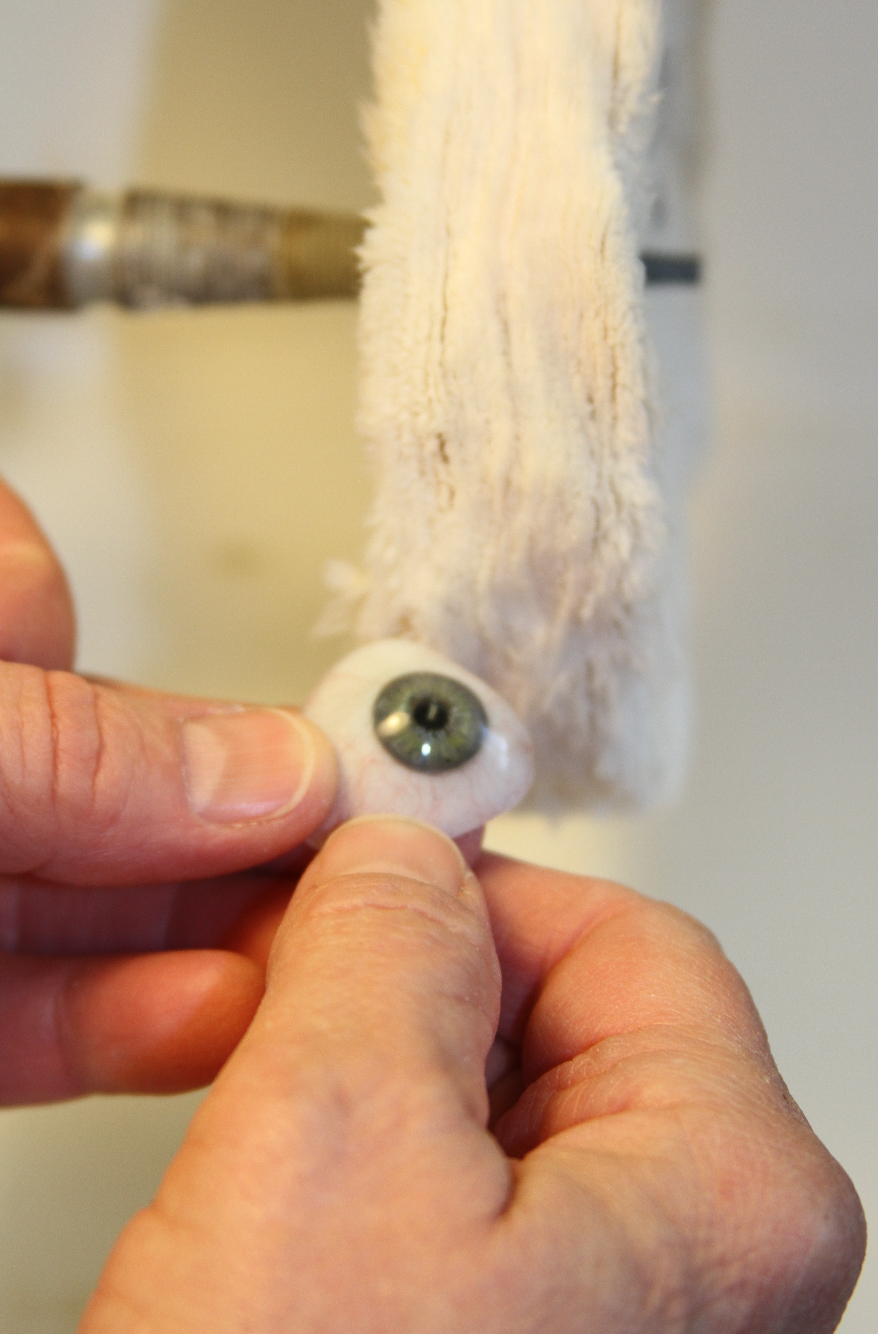 Importance of a Prosthetic Eye Polishing Ocular Prosthetics, Inc.