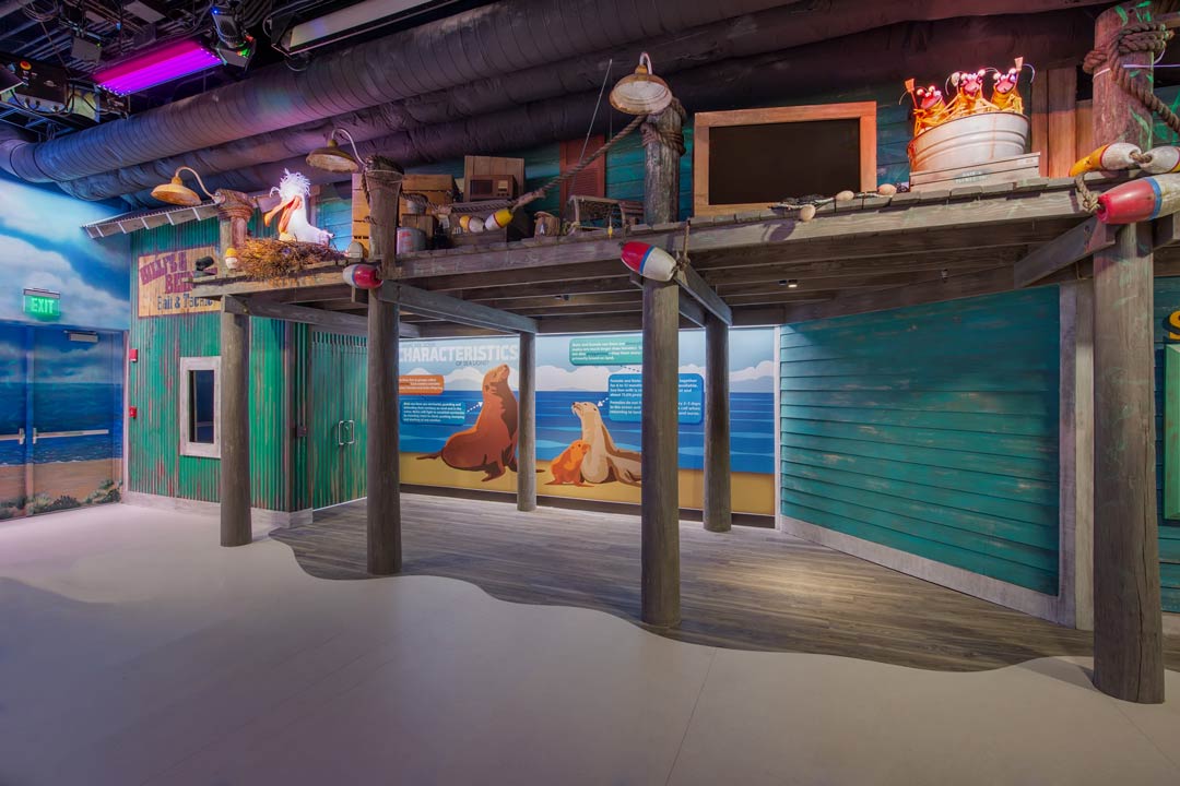 Aquarium Suntrust Pier, Atlanta, GA Oculus Light Studio