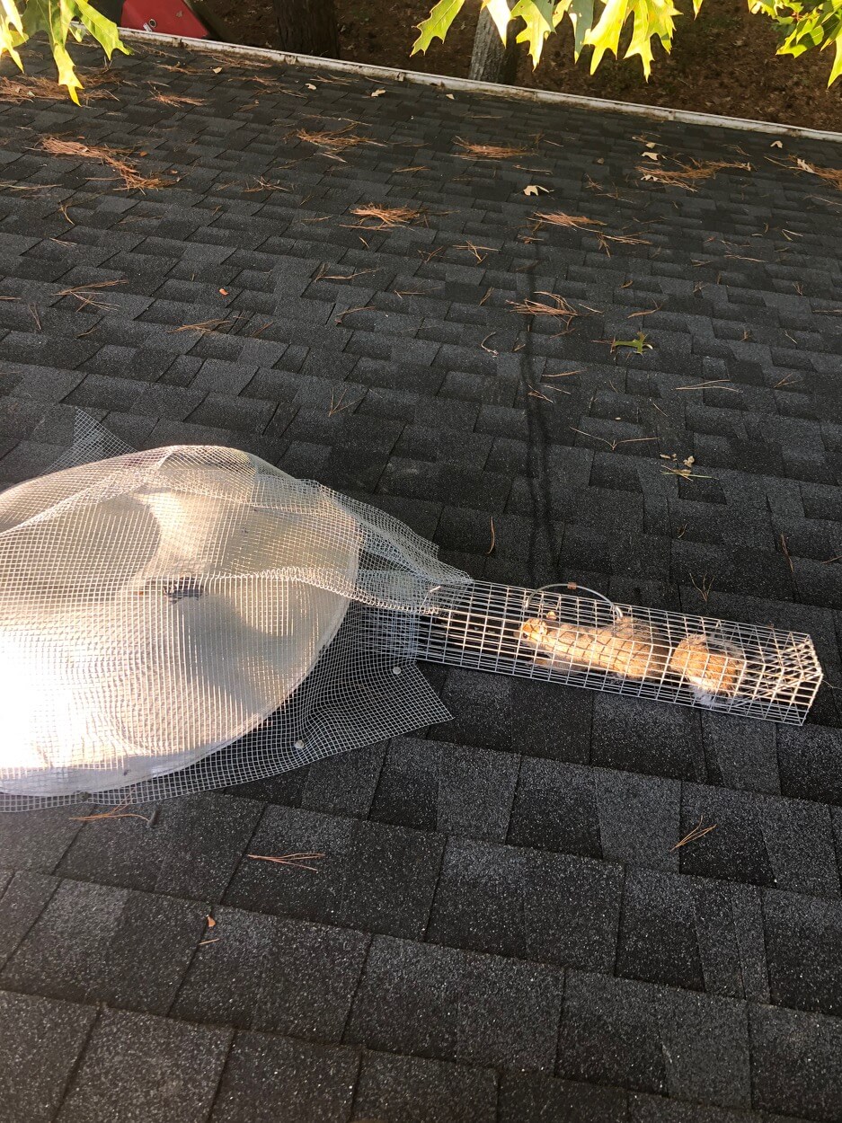 Animal Control Raleigh, NC On Call Wildlife and Gutter Guard