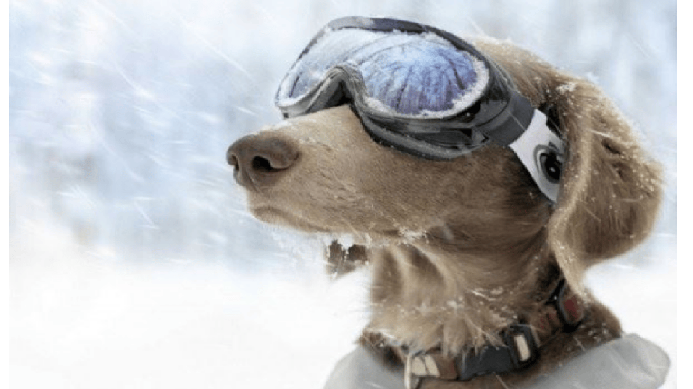 11 Funny Websites
