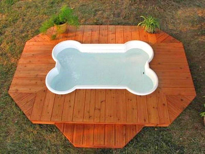 Bone Shaped Dog Pool
