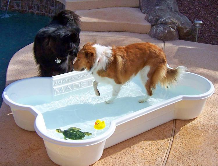 Bone Shaped Dog Pool
