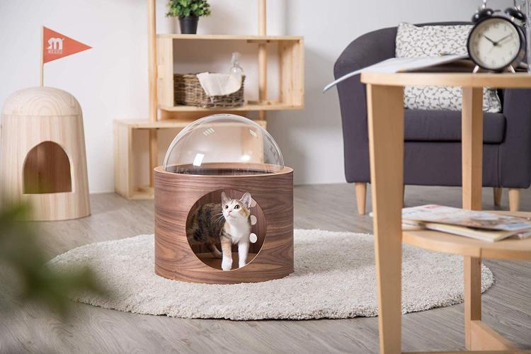 Your Cat Probably Needs This WallMounted Bubble Window Bed