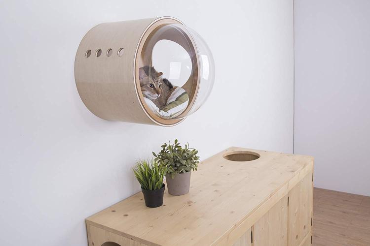 Your Cat Probably Needs This WallMounted Bubble Window Bed