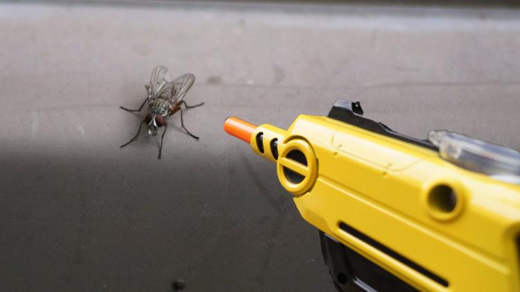 BugaSalt Salt Gun Shoots Salt Pellets To Combat Bugs and Home Pests