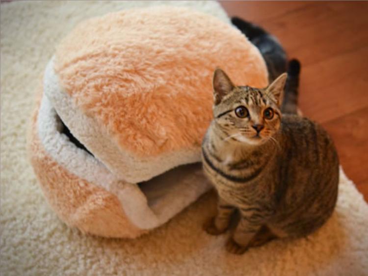 Cat Hamburger Bed
