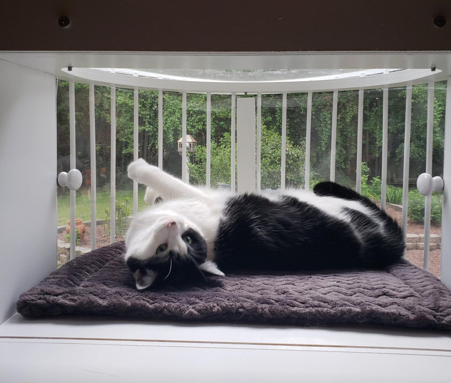 This Cat Solarium Lets Your Kitties Bask In The Sun and Catch a Cool Breeze
