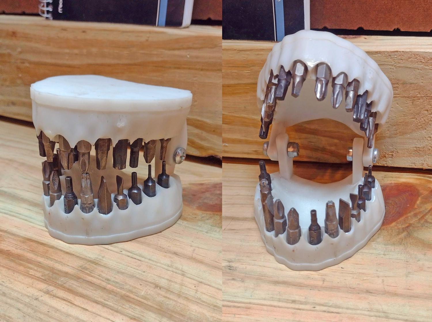This Dentures Drill Bit Holder Might Be The Greatest Way To Store Your Bits